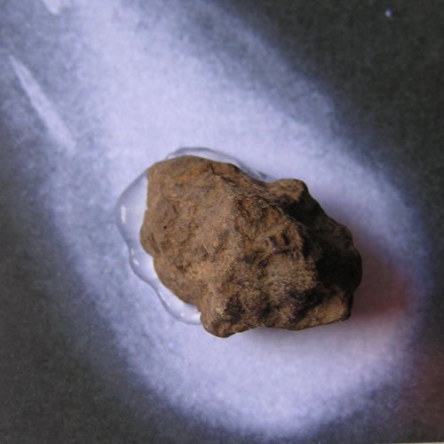 Tiny Meteorite Fragment Stone Chondrite fixed to Authenticity Card. Length approx 1-2cm