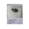 Campo Del Cielo Iron Meteorite Fragment with Certificate of Authenticity. Weighs approx 2-3grams - view 1