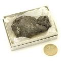 !!<<span style='color: #cc0000;'>>!!Sold Out !!<</span>>!!  Campo del Cielo - Argentina Meteorite Fragment - view 1